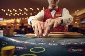 Berbagai permainan live casino populer dengan dealer dinamis